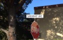 saranap ave street sign